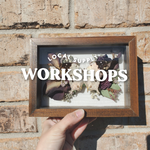 Framed Butterfly Workshop on 5/17 with The Lost Luna