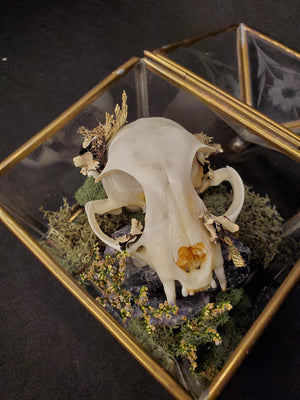 Halloween Mini Dome Workshop on 10/14 with The Lost Luna
