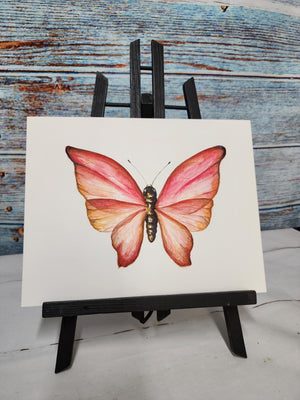 Pink Butterfly