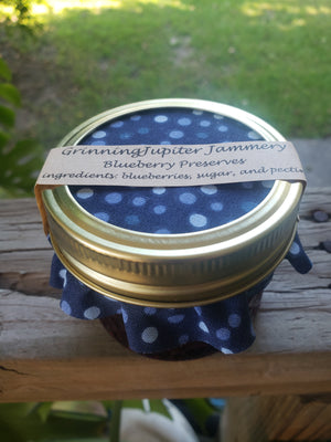 4 oz Blueberry Preserves