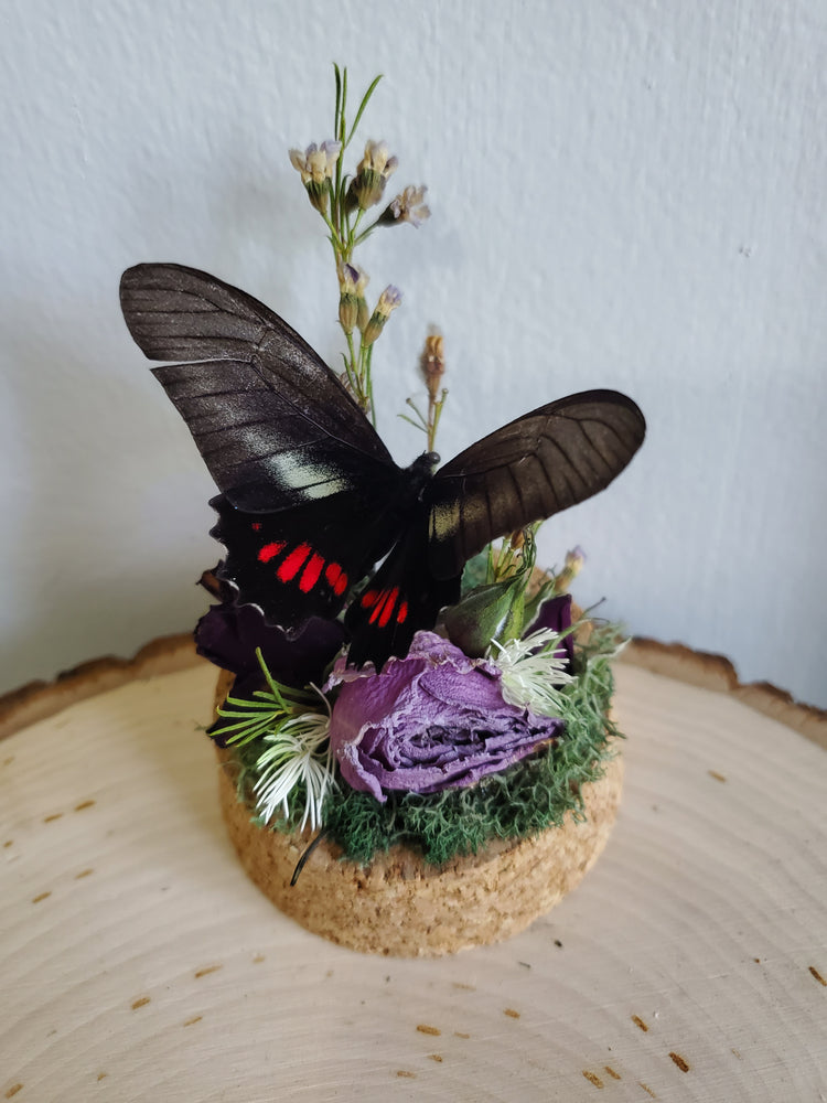 Pink Rose Butterfly Mini Dome