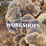 Introduction to Medicinal Mushrooms with Mycocentrics on 9/21