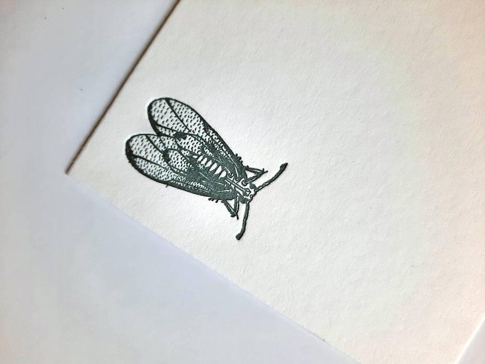 Notecard set: Cicada stationery, letterpress-printed