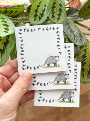 Sticky Notepad: Possum Tracks