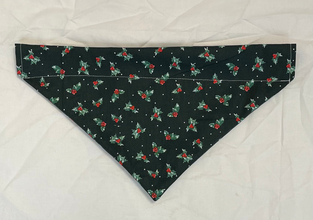 Medium Pet Bandanas