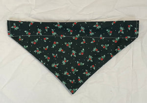 Medium Pet Bandanas