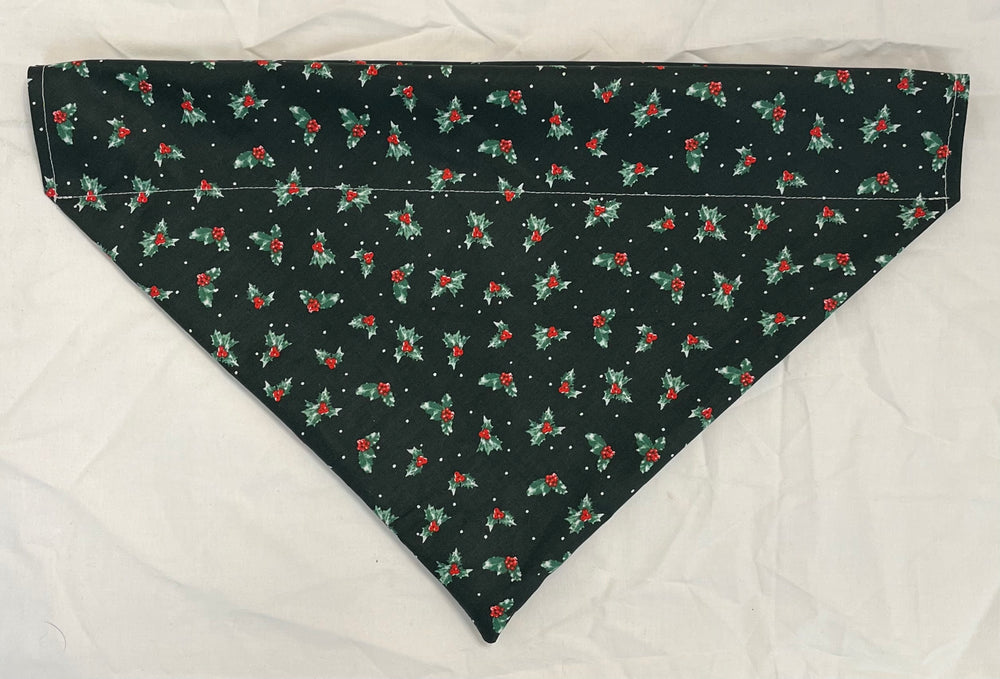 XL Pet Bandanas