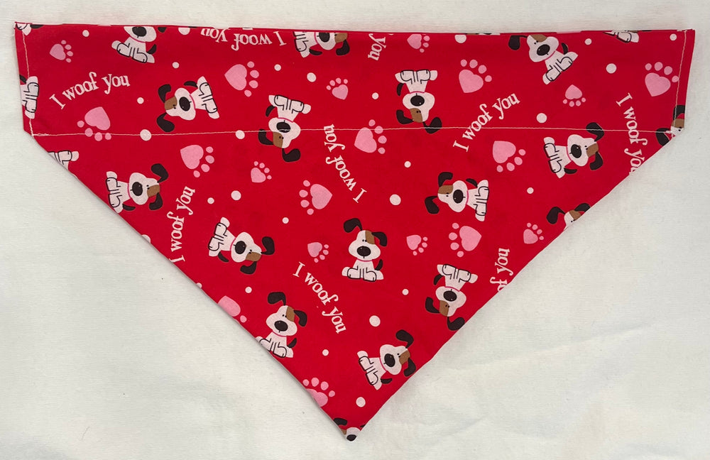 Medium Pet Bandanas