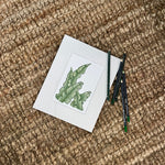Fern Print 8x10