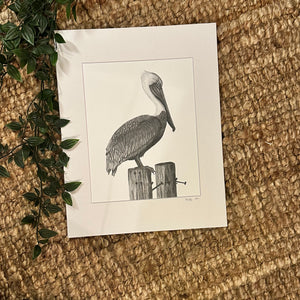 Pelican one Print - 11x14