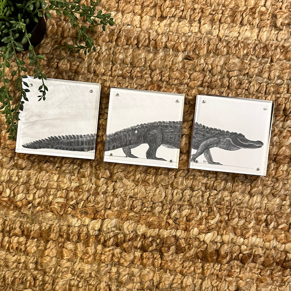 Gator Trio Acrylic 4x4