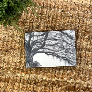 
            
                Load image into Gallery viewer, Oak Tree 5x7 Acrylic
            
        