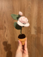 Forever Floral Rose with Bud