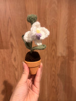 Forever Floral Orchid