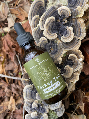 Turkey Tail Mushroom Tincture