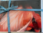 Flamingo Card Set