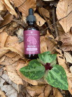 Reishi Mushroom Tincture