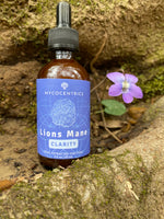 Lions Mane Mushroom Tincture