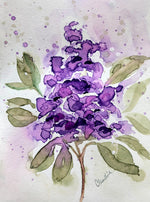 Lilac Flower Print