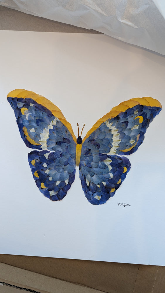 
            
                Load image into Gallery viewer, Butterfly Print
            
        
