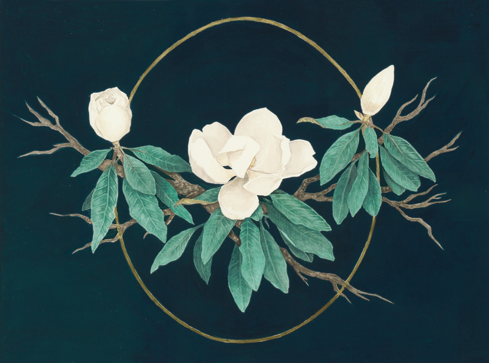 Midnight Magnolias Print