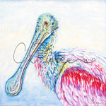 Spoonbill in a Dream (12x12)