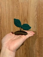 Sprout Hair Clip