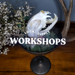 Halloween Mini Dome Workshop on 10/14 with The Lost Luna
