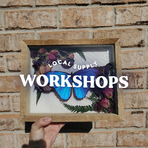 Framed Blue Morpho Workshop on 4/20 with The Lost Luna