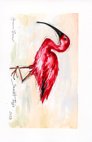 Scarlet Ibis Print