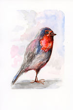 Robin Watercolor Print
