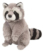 CK Raccoon Stuffed Animal 12"