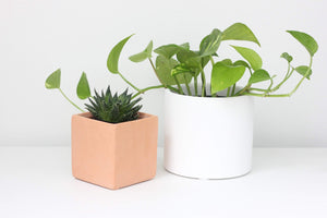 Matte White Ceramic Cylinder Planter 5"