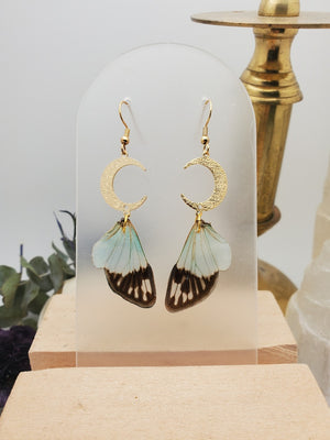 Blue Cicada Wing Earrings