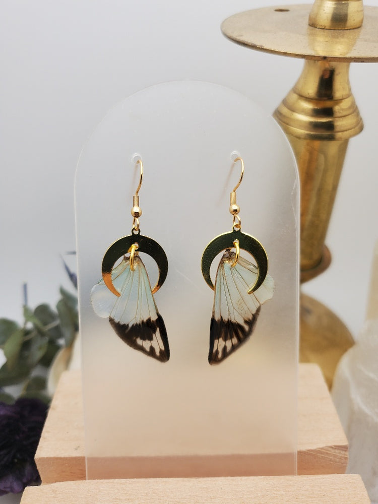 Blue Cicada Wing Earrings
