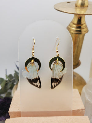 Blue Cicada Wing Earrings
