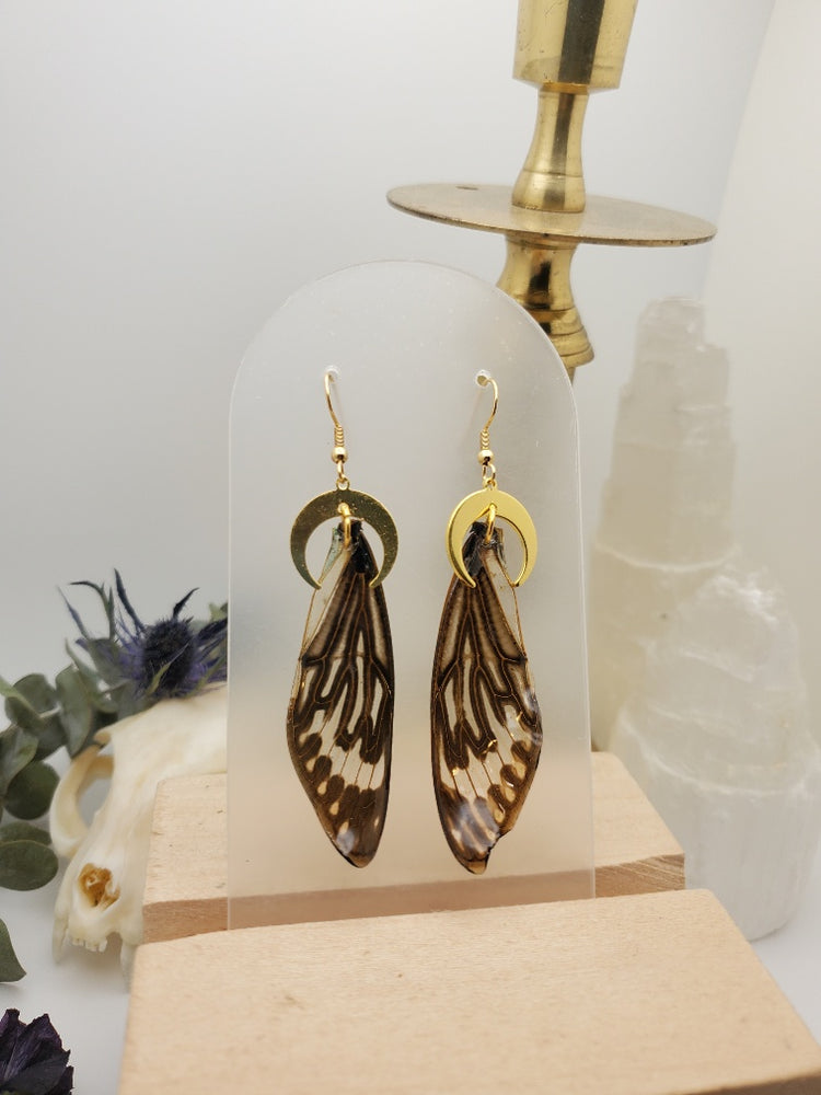 Blue Cicada Wing Earrings