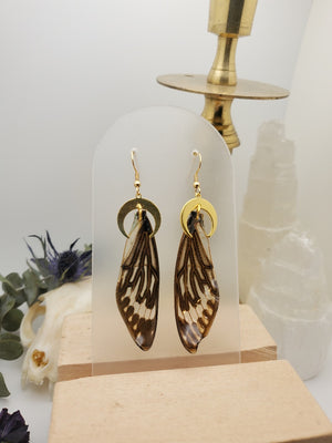 Blue Cicada Wing Earrings