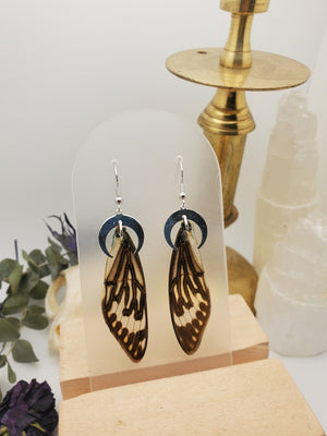 Blue Cicada Wing Earrings