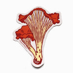 Chanterelle mushroom sticker