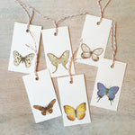Butterflies & Moths Gift Tags
