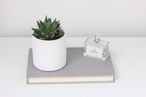 Matte White Ceramic Cylinder Planter 3"