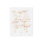 Wild Mushrooms Art Print