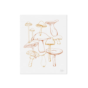 Wild Mushrooms Art Print