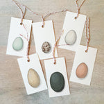 Eggs Gift Tags