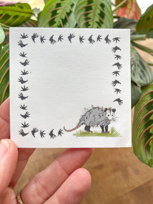 Sticky Notepad: Possum Tracks