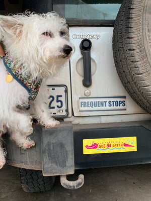 Later Gator Bumper Sticker