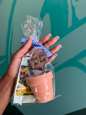 Seed Sprouting Kits