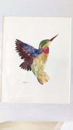 Ruby-Throated Hummingbird Print