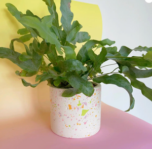 Terrazzo Pot - Medium